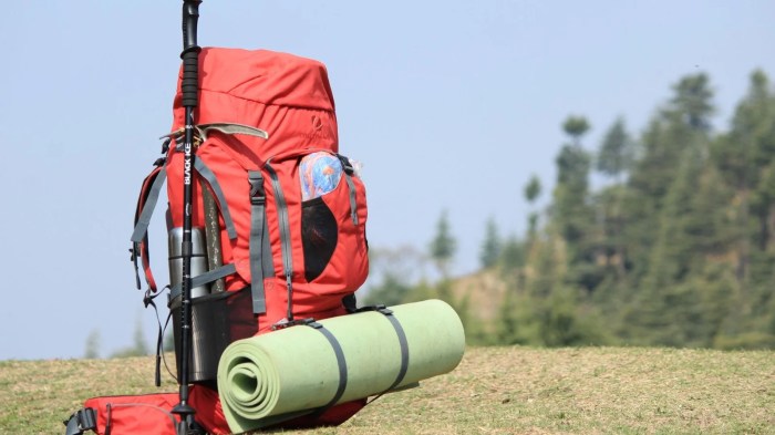Essential gears backpackers